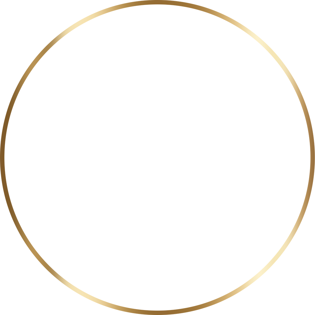 Gold Circle Illustration